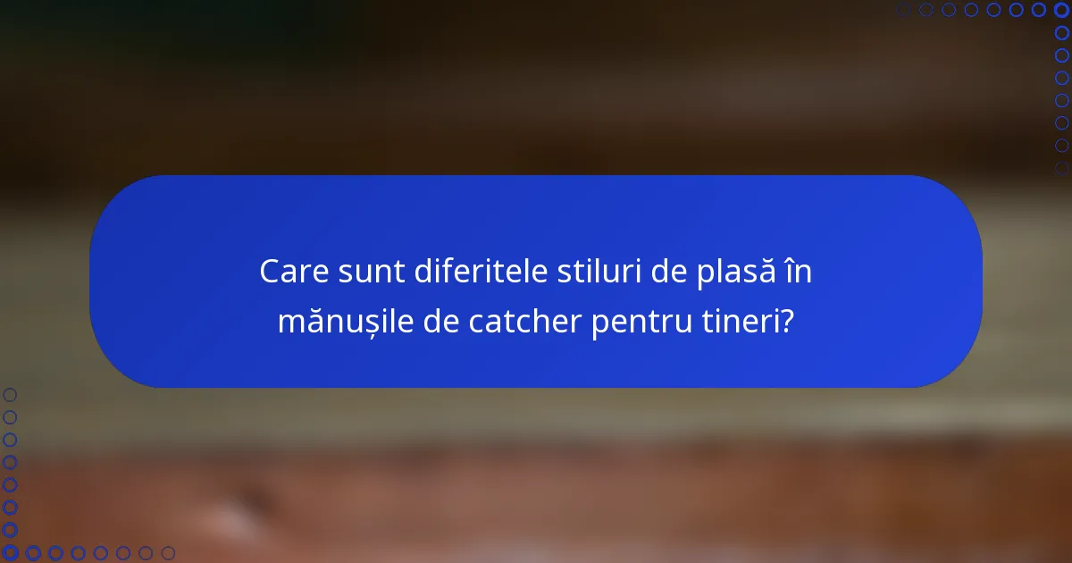 Care sunt diferitele stiluri de plasă în mănușile de catcher pentru tineri?