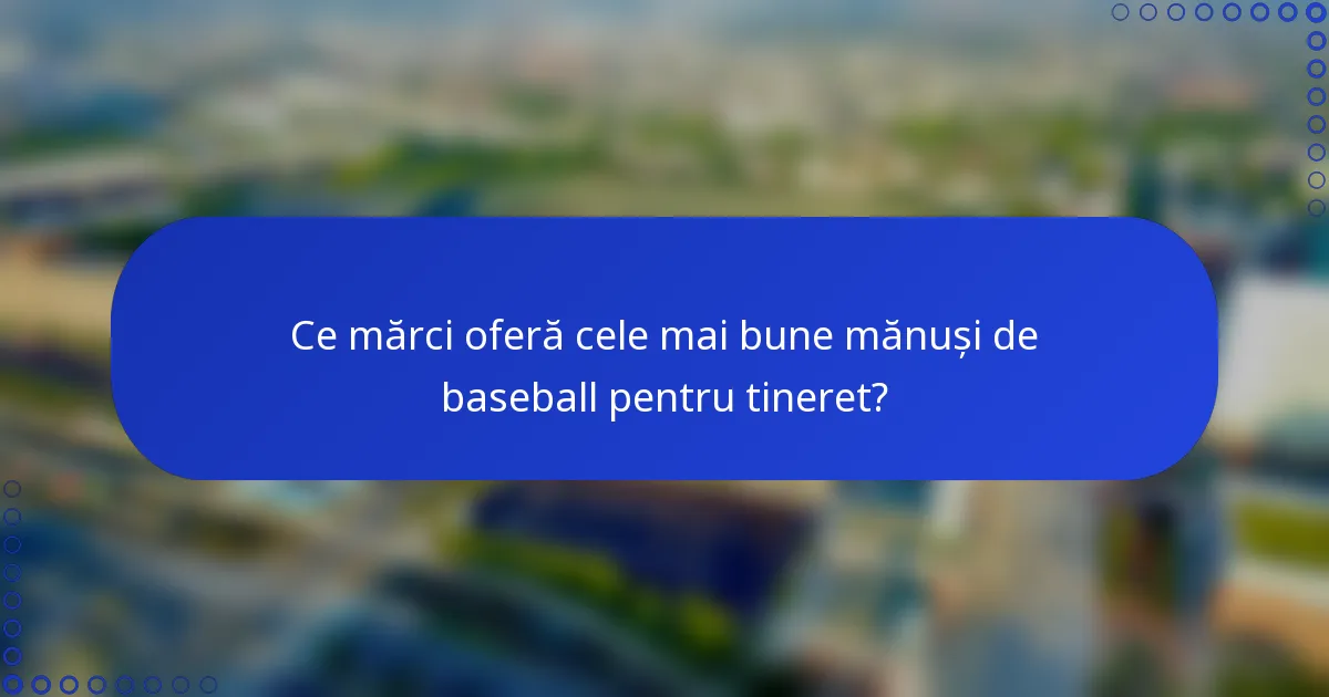 Ce mărci oferă cele mai bune mănuși de baseball pentru tineret?